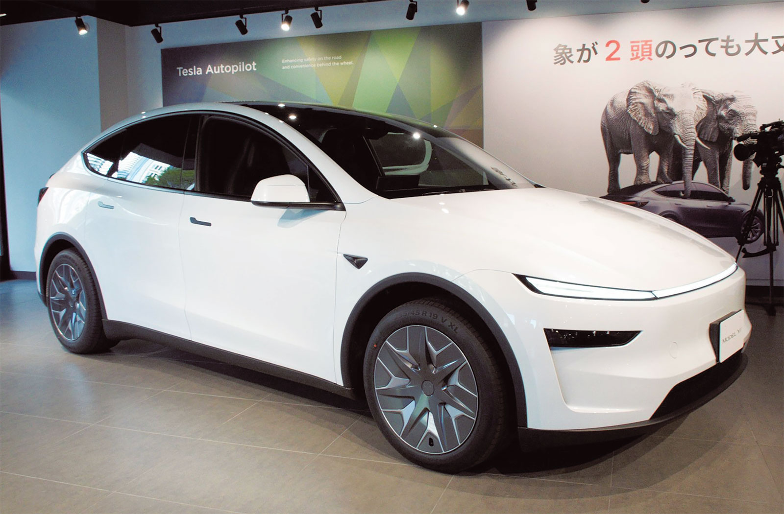 テスラ The Faberge egg of Tesla Model 𝕏 in Frost Blue is 🔥