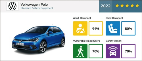 図2　Poloの安全性評価要約