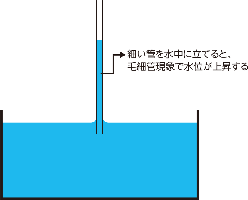 雨漏りの陰に毛細管現象あり 日経クロステック Xtech 雨漏りの陰に毛細管現象あり 日経クロステック Xtech