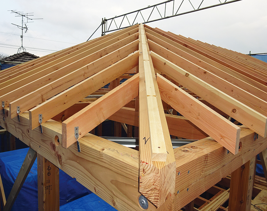 新品！雨漏りを防ぐ　DVD講座　日経ホームビルダー編　職人 新品！雨漏りを防ぐ DVD講座 日経ホームビルダー編 職人