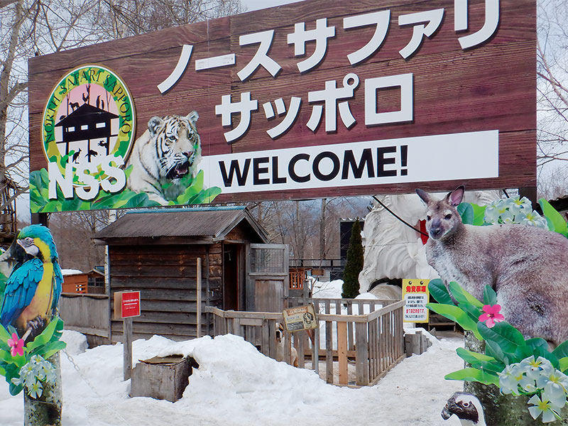 違反建築多数の動物園が閉園