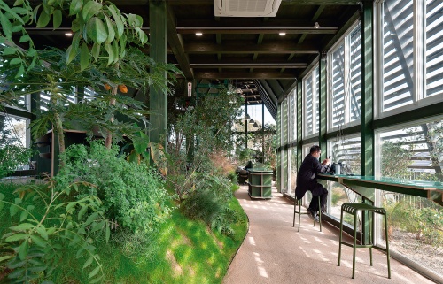 〔写真1〕地形をそのまま屋内に取り込む