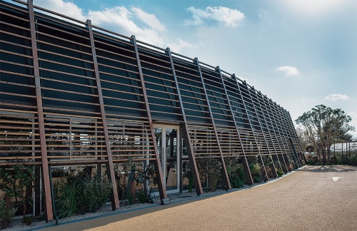 〔写真3〕西側のルーバーは目隠しに