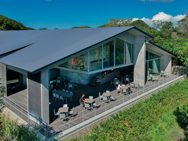 日本の現代建築家が設計した茶室 写真集「New Zen」谷口吉郎 磯崎新ほか 日本の現代建築家が設計した茶室 写真集「New Zen」谷口吉郎 磯崎
