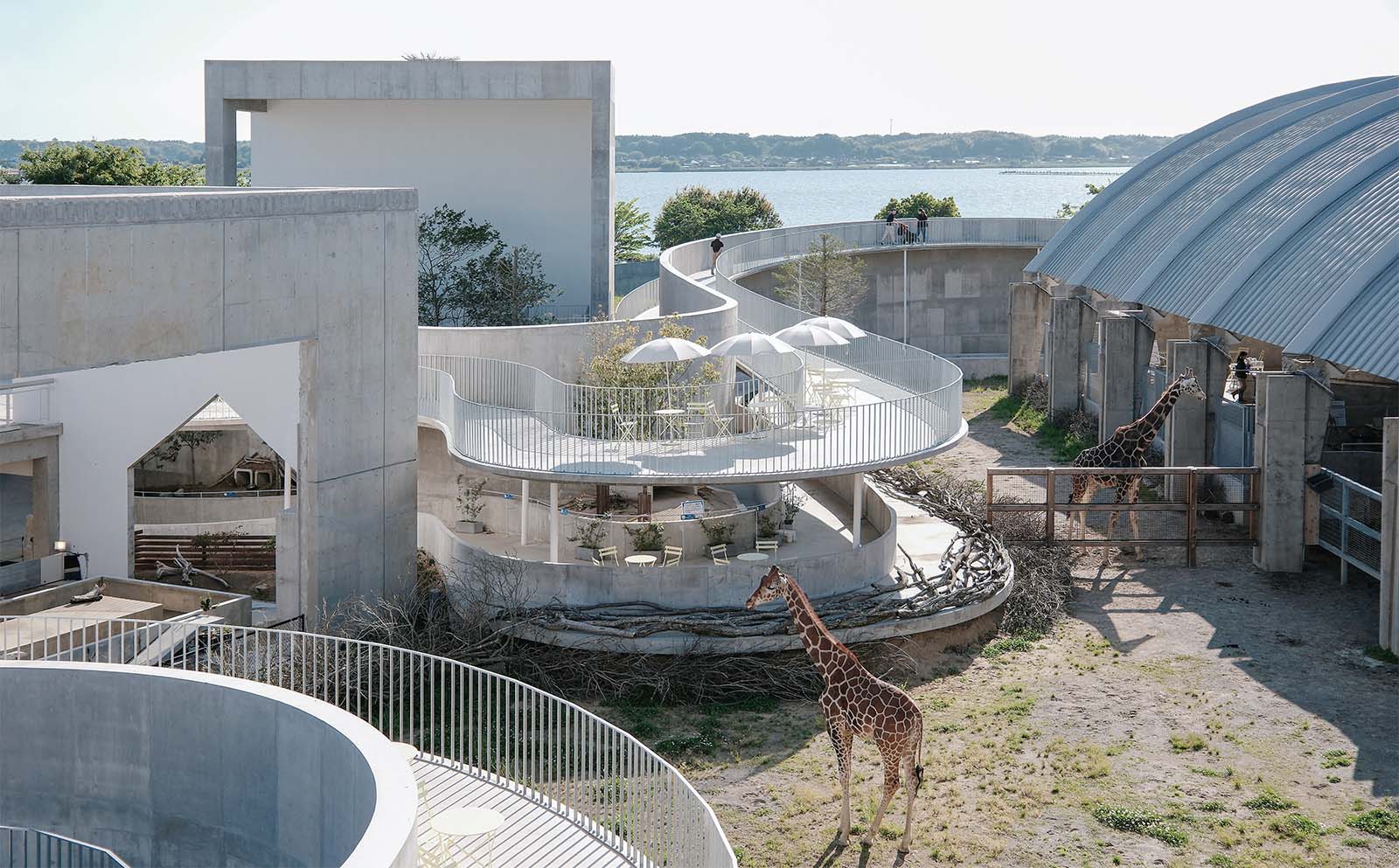 動物園学 動物園のつくり方: 入門 動物園学 | PAUL A. REES, 武田 庄平, 鈴木 馨