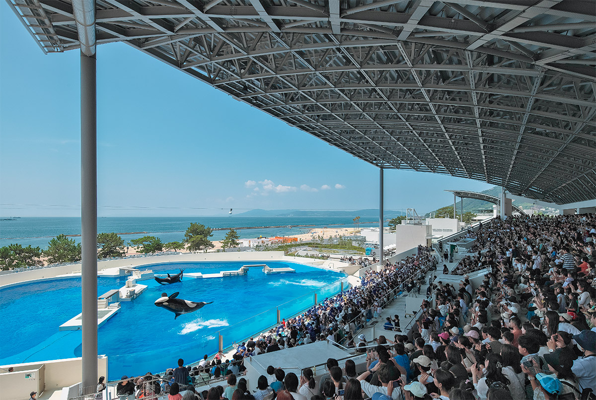 須磨海浜水族園 須磨水族館 写真付き 神戸市立須磨海浜水族園 - Japan View