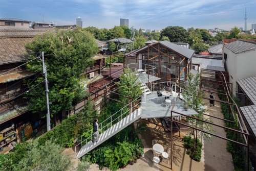 「花重」を西側から見る。既存建物を改修した開放的なカフェと、庭に新設された立体的なテラス。路地から庭にかけて、建物のボリュームを拡張するように鉄骨のフレームを巡らせた。周囲には瓦屋根が続く谷中の街並みと、谷中霊園の緑が広がる(写真:吉田 誠)