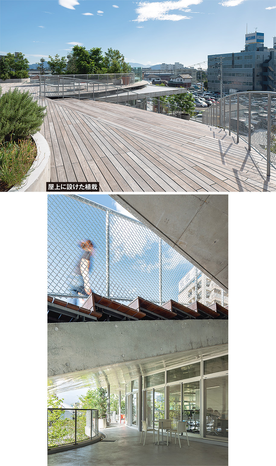 〔写真2〕開放的な屋上庭園