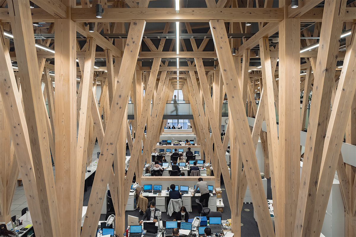 3.6mスパンの純木造庁舎（2ページ目） | 日経クロステック（xTECH）
