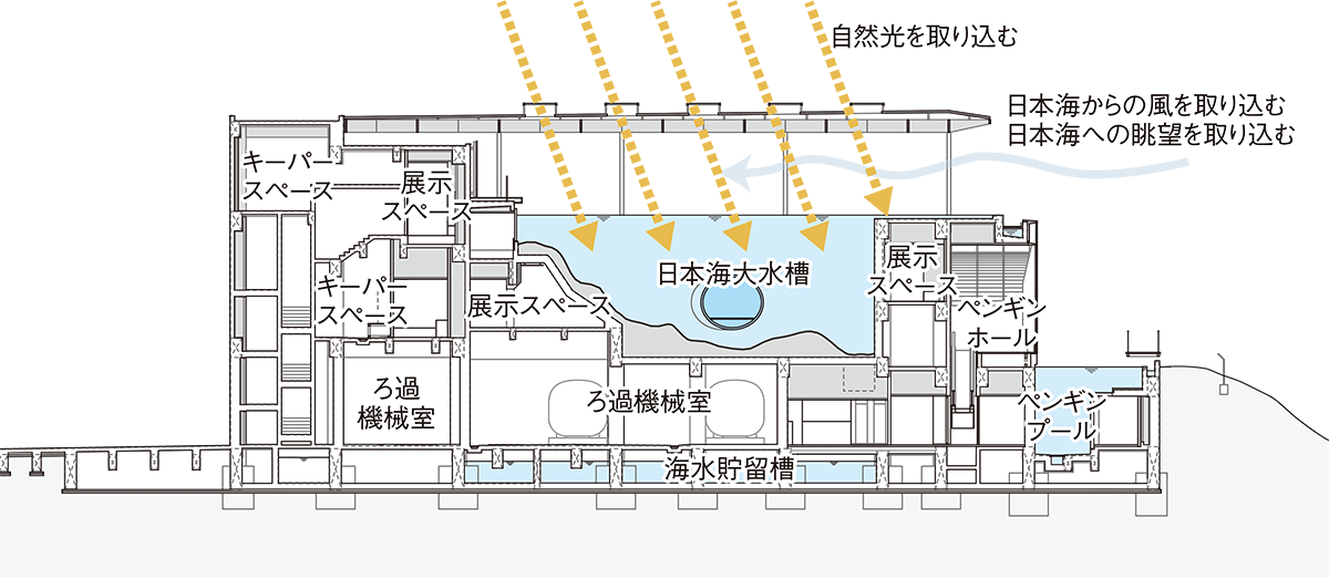 頸城地方の海と海底・海浜遺跡 (1972年) (上越市立総合博物館教養選書) 海底地形を水槽に再現 水面は海に溶け込む（3ページ目） | 日経クロス