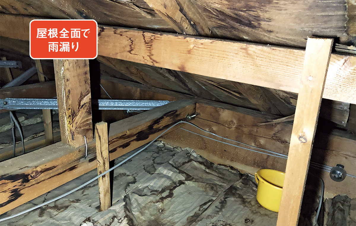 雨漏りの原因を探るため小屋裏へ入ると、屋根全面に雨染みが発生。野地板は層状剥離を起こしてたわんでいた（写真：神清）