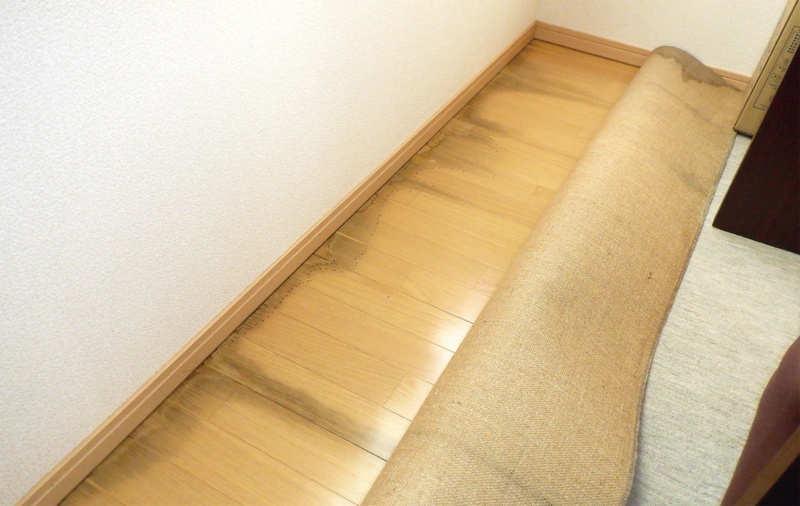 床の黒ジミ 原因は夏型結露 日経クロステック Xtech 床の黒ジミ 原因は夏型結露 日経クロステック Xtech