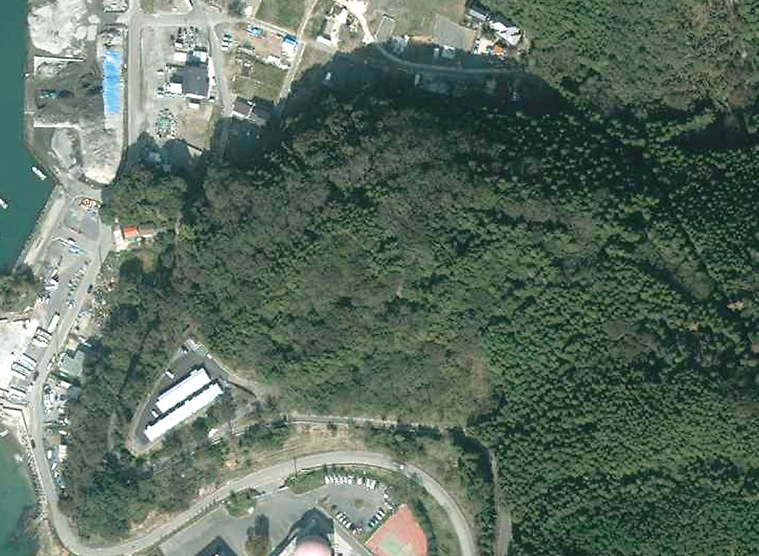 写真中央が造成前の山の様子（2012年撮影）。石巻市では東日本大震災で3277人が亡くなり（直接死）、計約3万3000棟の建物が全半壊に至った（写真：国土地理院）