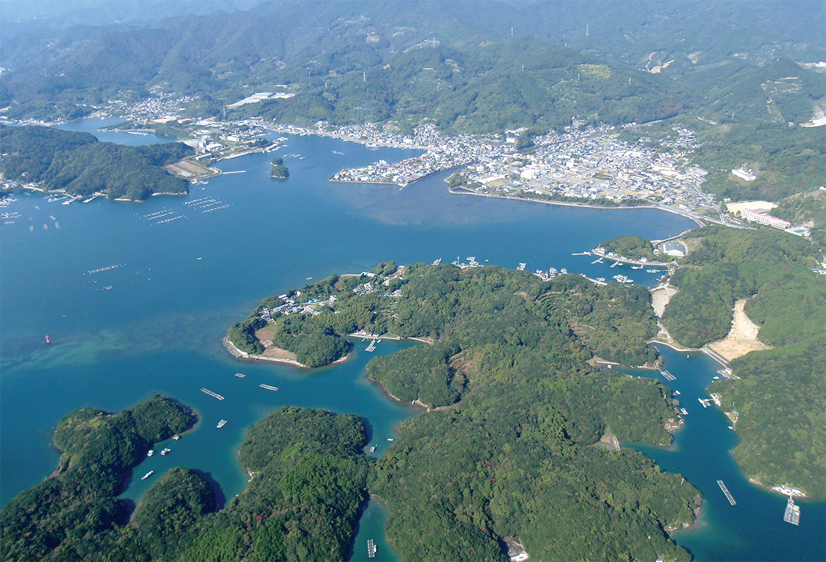 〔写真1〕津波で集落の8割が水没する恐れ