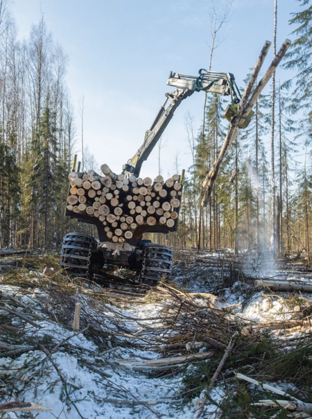 ウクライナ侵攻を受けた欧米諸国の経済制裁に対抗するため、ロシアは日本を含む「非友好国」に対して一部の木材や木材製品の輸出停止を決めた。写真はロシアの木材会社が国内の森林から原木丸太を切り出す様子（写真：Andrey Rudakov／Bloomberg via Getty Images）