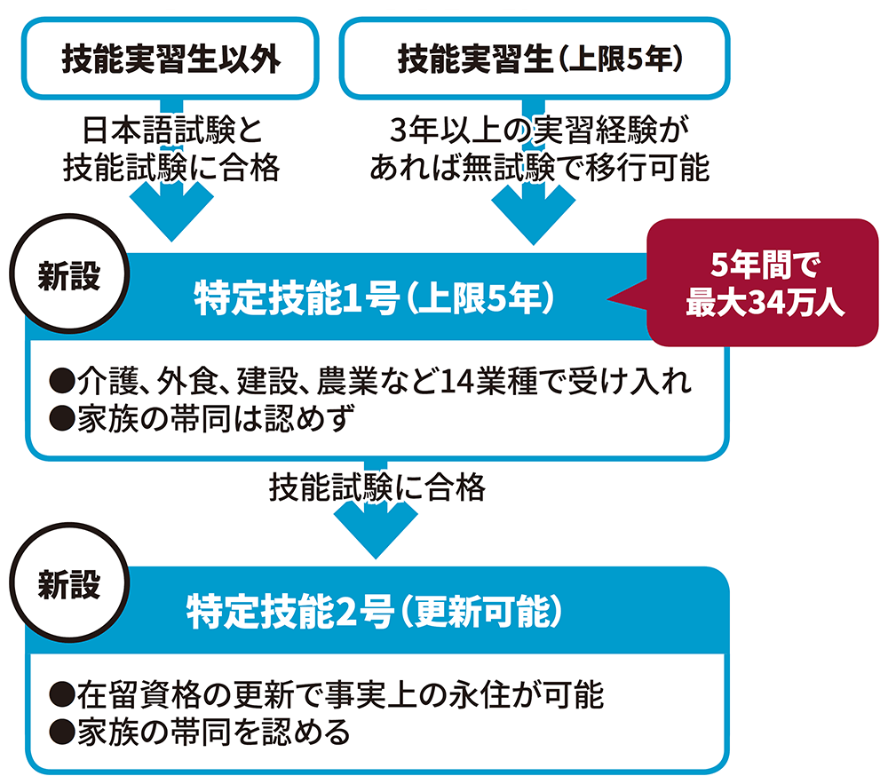 図 政府が設けた「特定技能」の取得プロセス