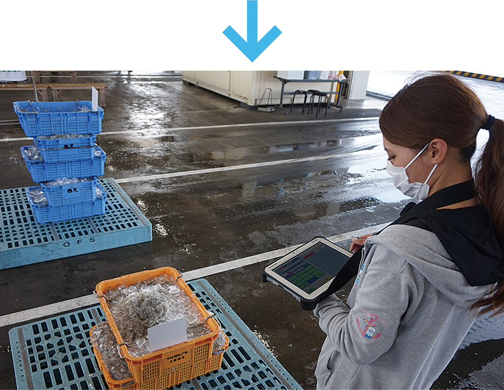 魚の競りをデジタル化 なじみの光景はなく 日経クロステック Xtech