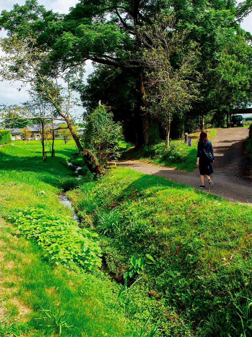 使いながらつくり続けた散歩道 | 日経クロステック（xTECH）