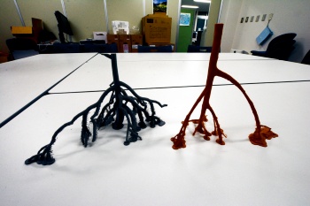 写真2■ 実物のマングローブをスキャンして、3Dプリンターで成形した模型（写真：日経コンストラクション）