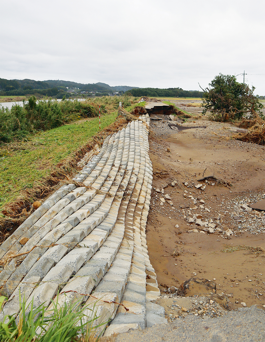 写真1■ 写真は茨城県常陸大宮市下伊勢畑で破堤した那珂川の堤防。川表側は連節ブロックなどで過去に堤防を補強していた（写真：日経クロステック）
