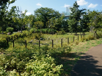 グリーンインフラ実践へ
