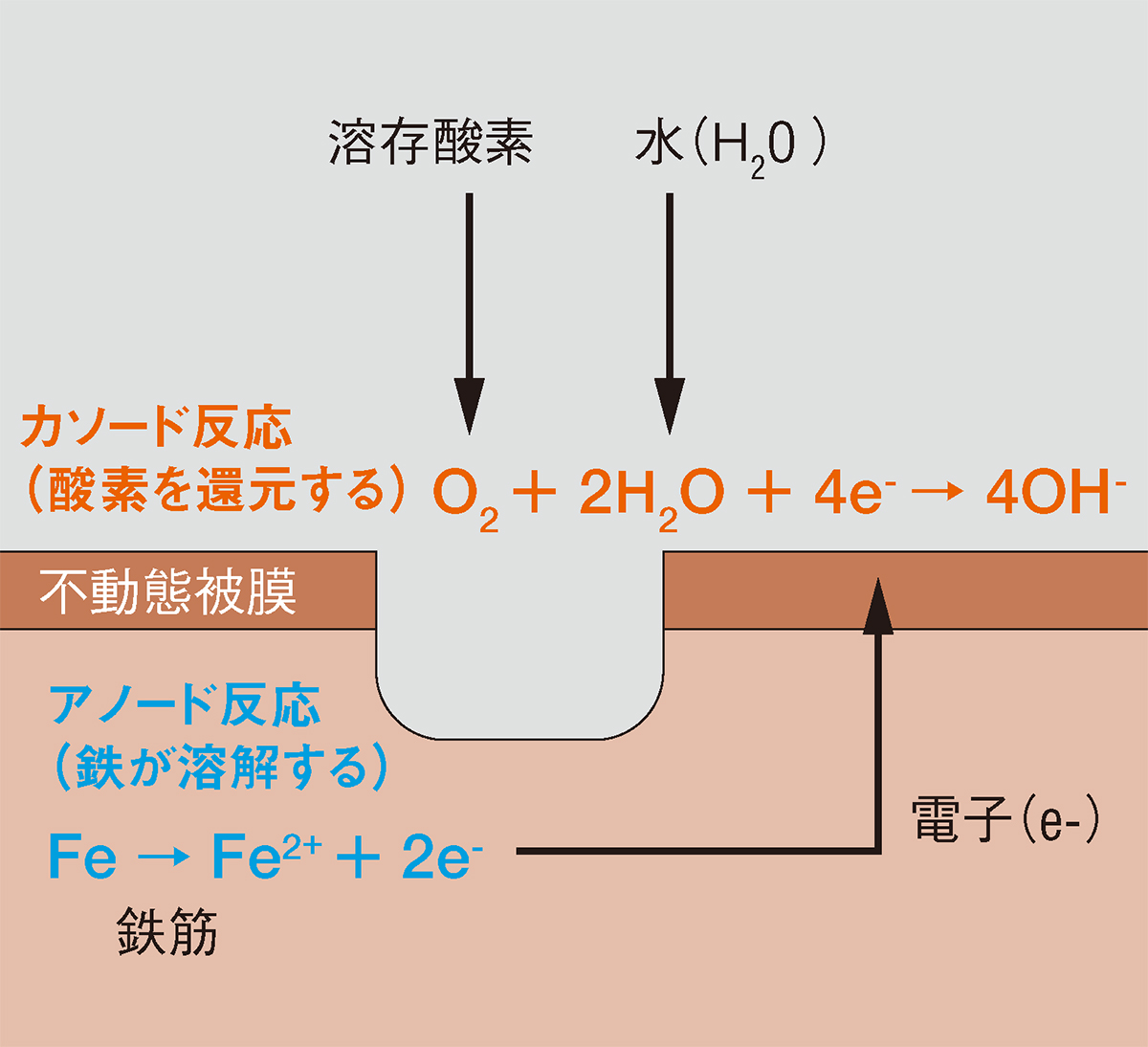 図1■ 鉄筋の腐食は2つの反応で起こる