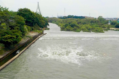 資料2■ 2022年5月17日午前9時30分ごろの左岸下流側の様子。河床から水が噴き出している(写真:農林水産省)