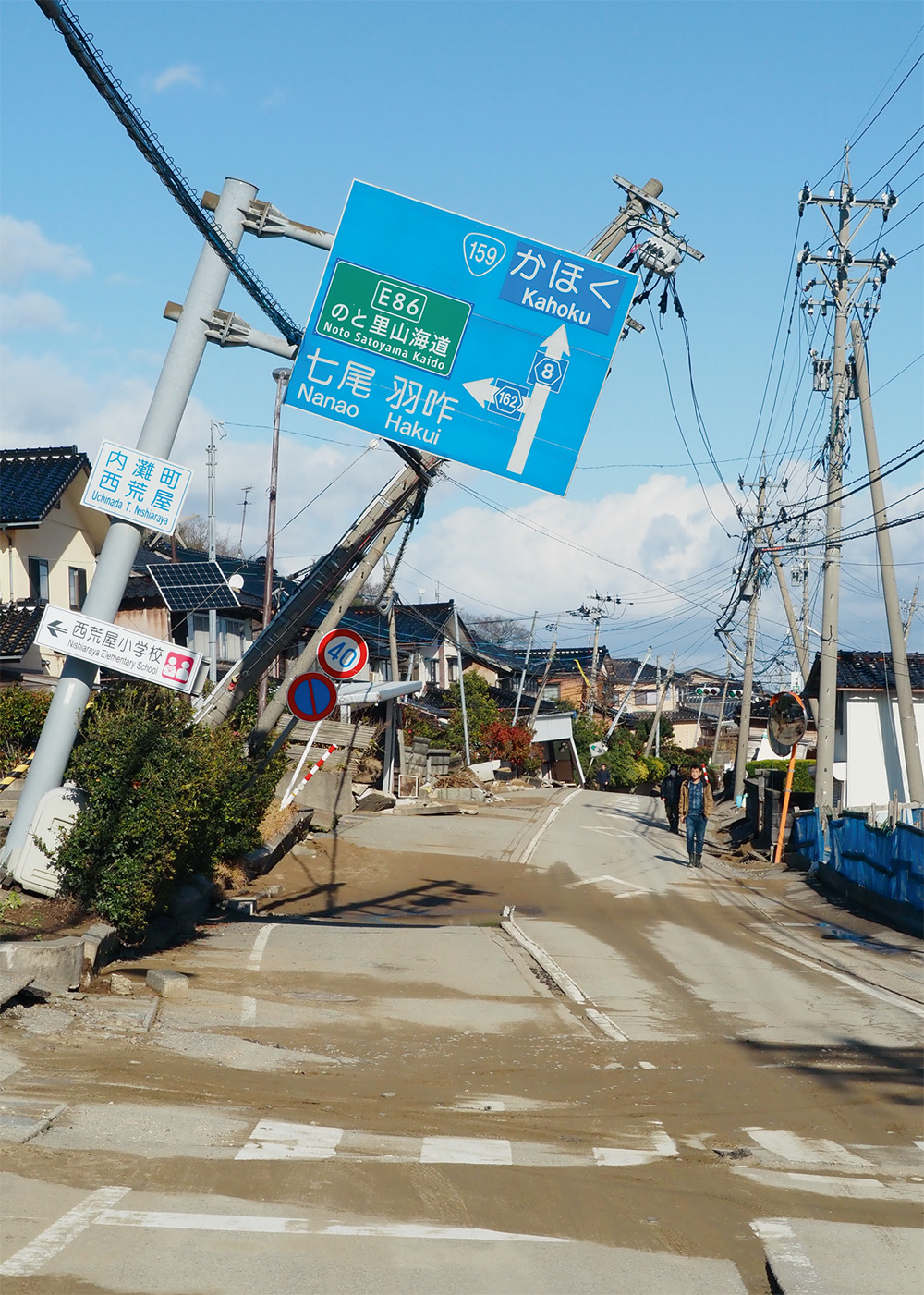 化石　かに　南淡町灘地野 化石 かに 南淡町灘地野
