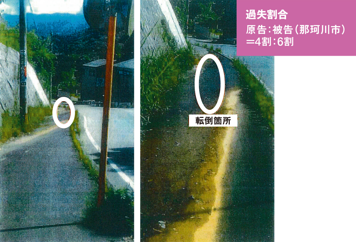 資料2■ ランニング中の転倒事故が発生した頃の那珂川市の市道。コケが広範囲に歩道を覆っていた（出所：福岡地裁の裁判資料）