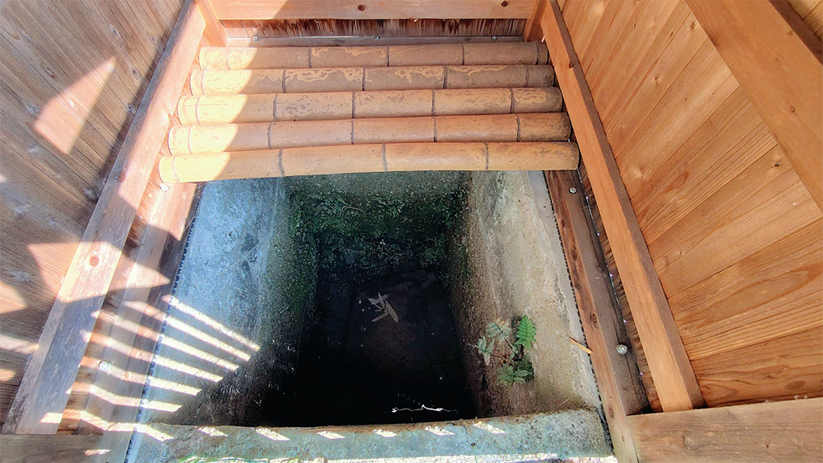 リニア工事で水位低下、打つ手なし　代替水源確保するも湧水対策は断念