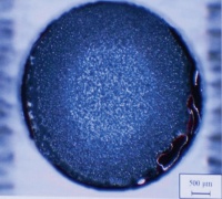 Zn-Ni2次電池における30サイクル後のZn負極表面の様子。ZnOの粒子が均一に形成されているが、デンドライトはみられない(同志社大学のスライドを本誌が撮影)