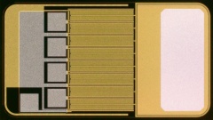 試作したモノリシックSiCパワーICのチップ写真。チップ面積は3.4mm×5.9mm。（図：岡本氏）