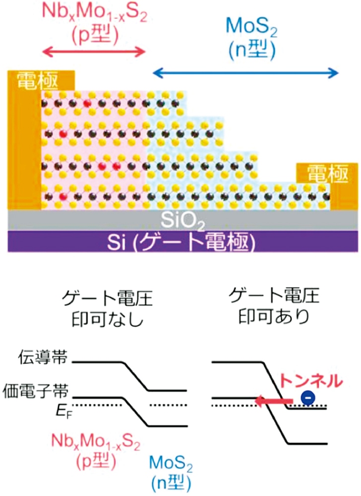 図2　東京都立大学はトンネルFET向け材料を開発