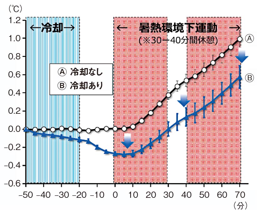 マラソン 競歩など 冷却グローブ 手のひら冷やし深部体温を抑制 日経クロステック Xtech