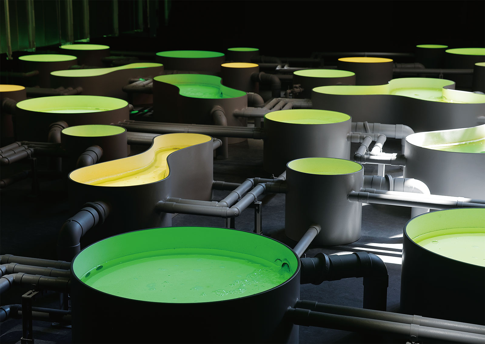 油をつくる藻」万博・日本館の主役に、発電所のCO2で大量培養へ | 日経