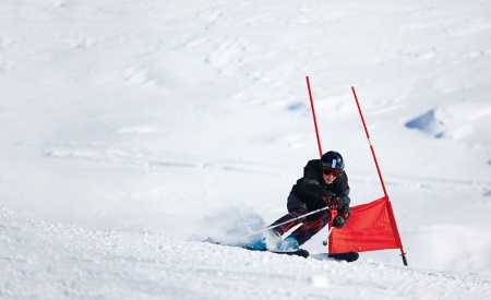 (写真:©iStock.com/rcaucino)