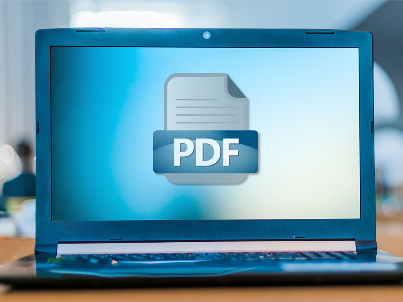 「無防備PDF」が標的に