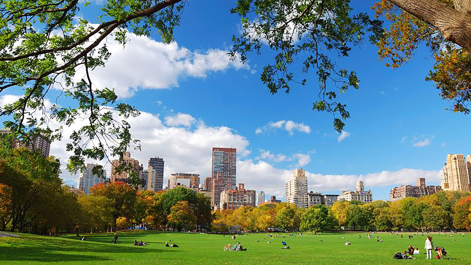 日経NETWORK 2025年9月号 | 日経クロステック（xTECH）