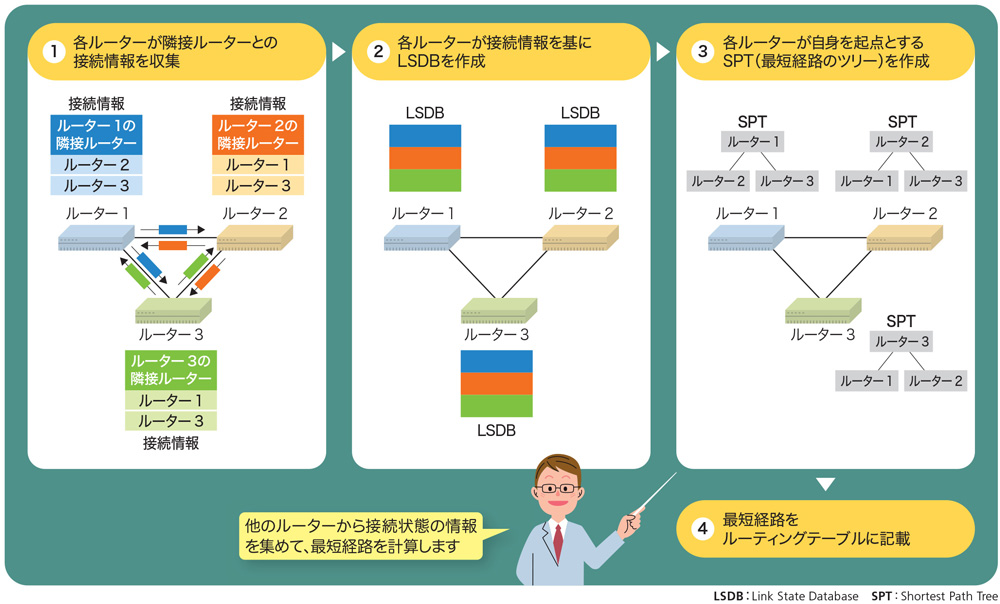 ツリールートオブジェクト ルートのカテゴリと階層 | Adobe Commerce