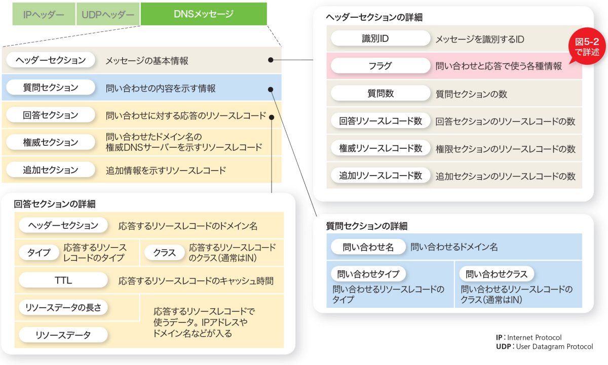 dnsレコードセクション