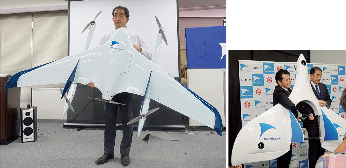 日本販売ホライゾン・垂直離着陸機ミニ・コンバージェンス機 完成品（電動）