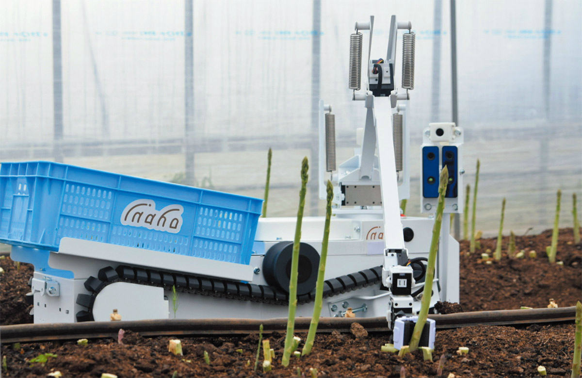 図1　自動野菜収穫ロボットによるアスパラガスの収穫