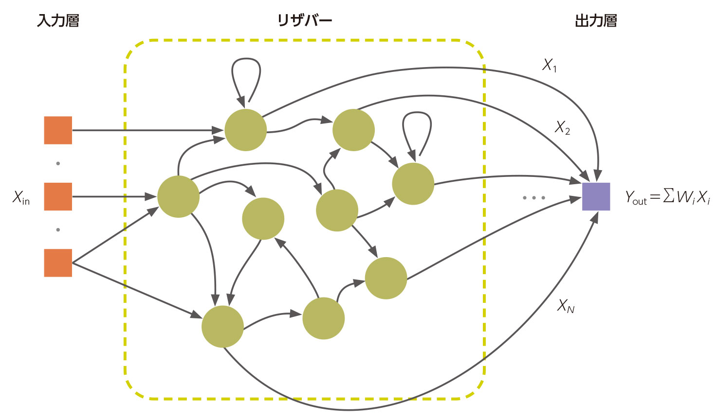フィジカルコンピュテーションとロボット工学：情報処理はどこで始まり