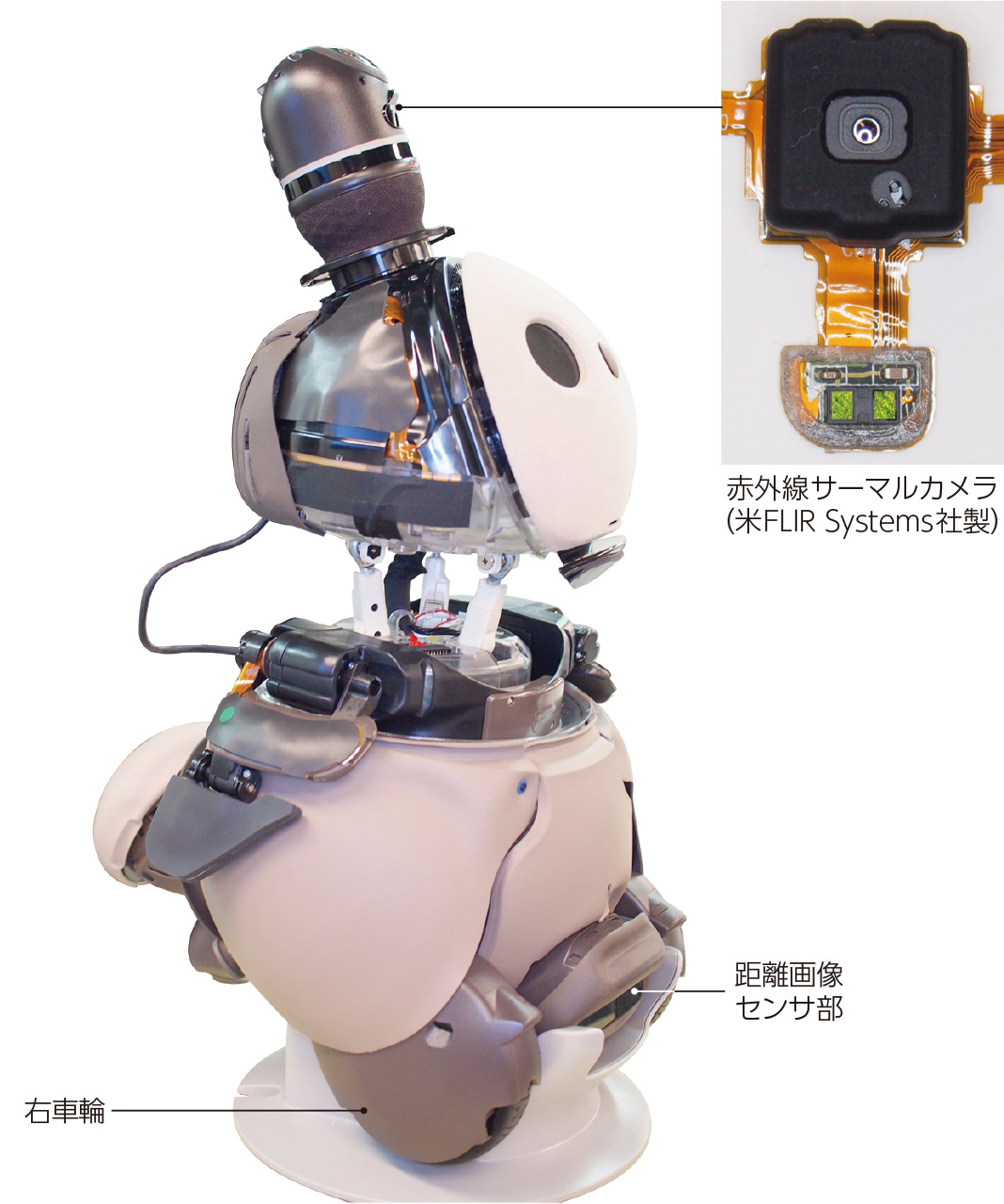 ロボットベンチャーGROOVE XのLOVOT大解剖：分解写真編、内部のハード