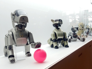 初期　アイボ Yahoo!オークション - 専用 初期型 AIBO アイボ ERS-111 SONY