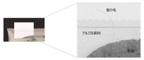 図3：撮像例（出所：浜松ホトニクス）