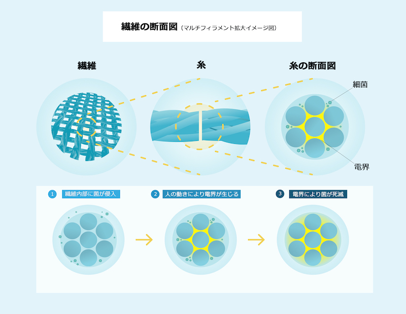 図2：抗菌の原理 （出所：村田製作所・帝人フロンティア）