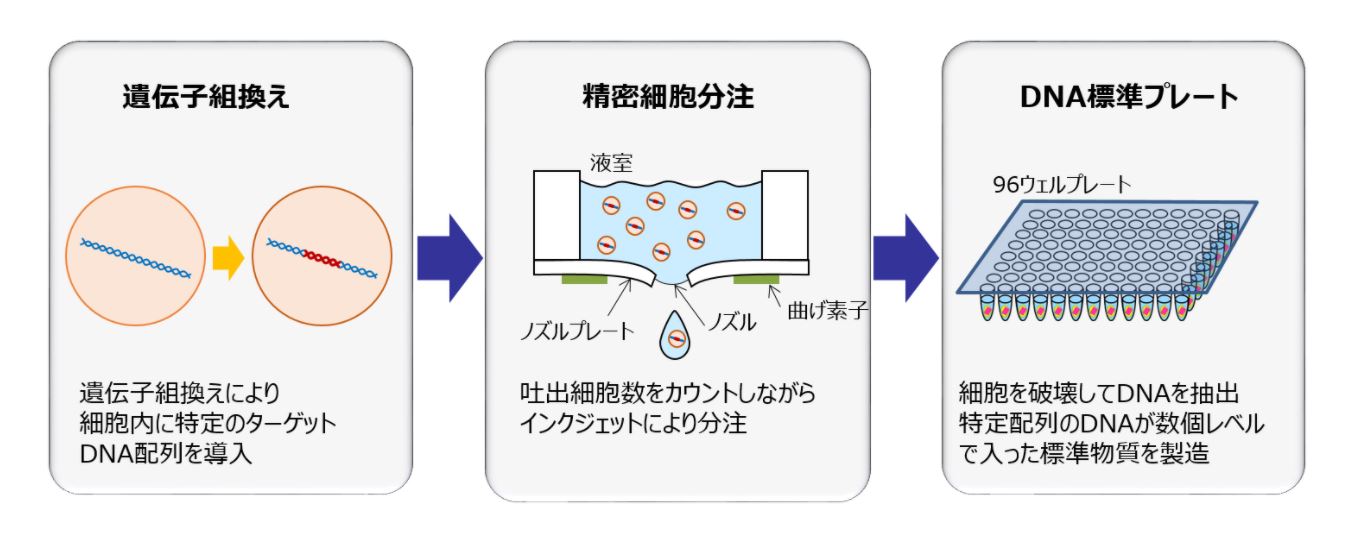 血液で肺がん遺伝子検査 の精度を向上 リコーがdna標準プレートを開発 日経クロステック Xtech