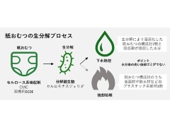 第3回 新たなセルロース系樹脂を開発 耐熱性や強度特性に優れる 日経クロステック xtech