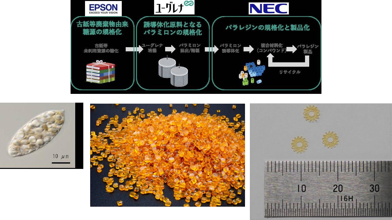 ミドリムシ ミドリ安全 先芯入り超耐滑作業靴 ハイグリップ・ザ・フォース NHF-600